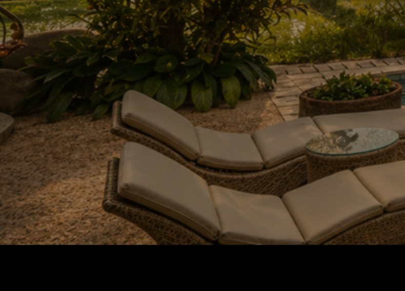 Loungers beside a pool in tropical garden planting at dusk.